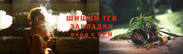 дмт Алексин