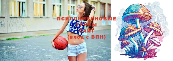 бошки Абдулино