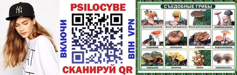 закладки  Мещовск  Псилоцибиновые грибы MAGIC MUSHROOMS 